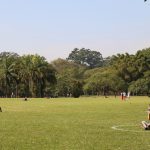 Clima típico de verão vai se manter em São Paulo