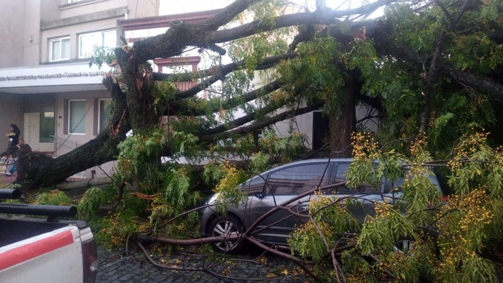 Vento de quase 130 km/h causa danos na Argentina e Uruguai