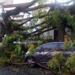 Vento de quase 130 km/h causa danos na Argentina e Uruguai