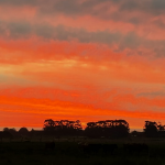 Veja a previsão do tempo para hoje e amanhã (12/4/2022)