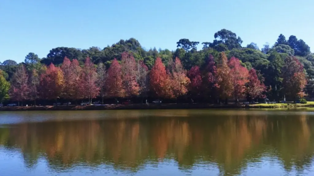 Grande Porto Alegre registra a menor temperatura do ano