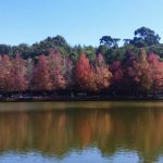 Grande Porto Alegre registra a menor temperatura do ano