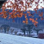 Como vai ficar o tempo no feriadão nos destinos dos gaúchos