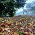 Chuva retorna ao Sul do Brasil neste feriado