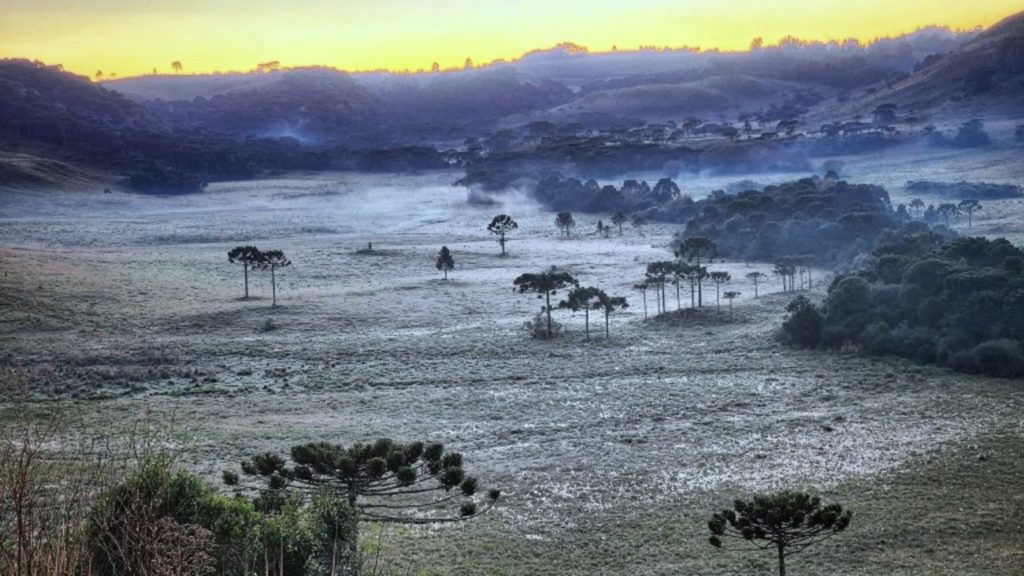 O frio veio para ficar?