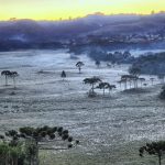O frio veio para ficar?