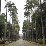 O tempo na terra da Inconfidência e de Tiradentes
