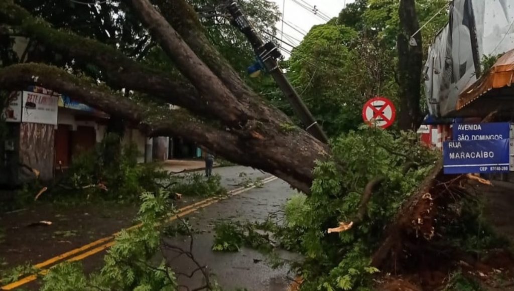 Temporais deixam rastro de destruição no Paraná