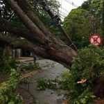 Temporais deixam rastro de destruição no Paraná