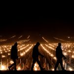 Produtores de vinho da França temem novo desastre pelo frio