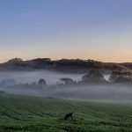 Veja a previsão do tempo para hoje e amanhã (9/5/2022)