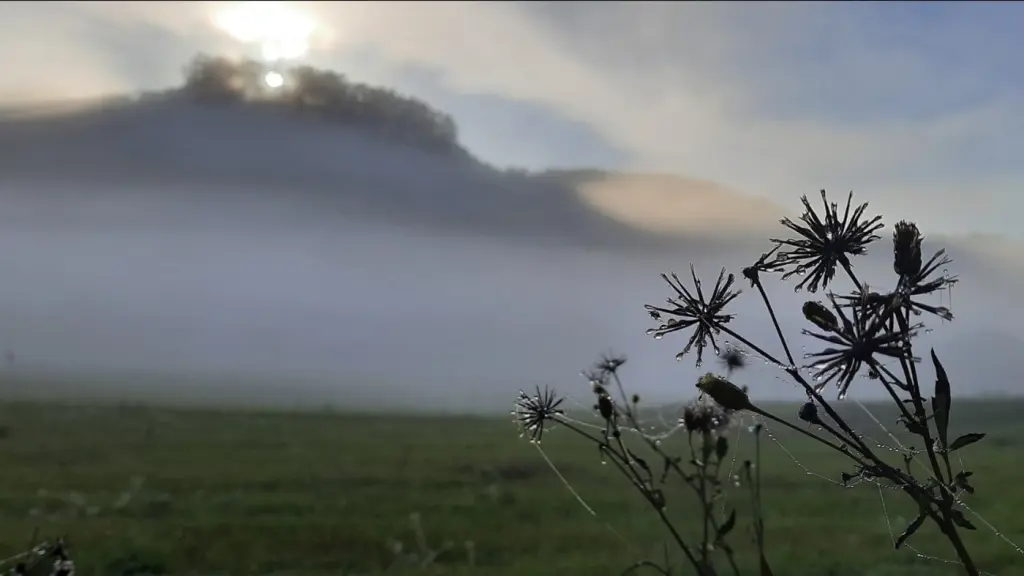 Fim de semana terá noites frias, nevoeiro e aumento de nuvens