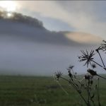 Fim de semana terá noites frias, nevoeiro e aumento de nuvens
