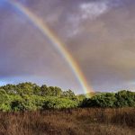 Veja a tendência do tempo para a semana (9/5/2022)