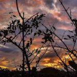 Veja a previsão do tempo para hoje e amanhã (12/5/2022)