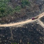 América do Sul lidera ranking mundial de desmatamento