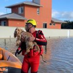 Emoção no resgate de animais das enchentes em Santa Catarina