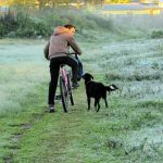 Semana terá muito frio com ar polar e o retorno da chuva