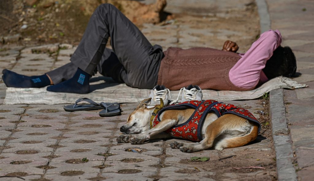Veja o que cientistas descobriram sobre temperatura e seu sono
