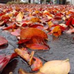 Quando essa umidade vai embora?