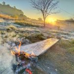 Temperatura volta a baixar de zero com mais geada no fim de semana