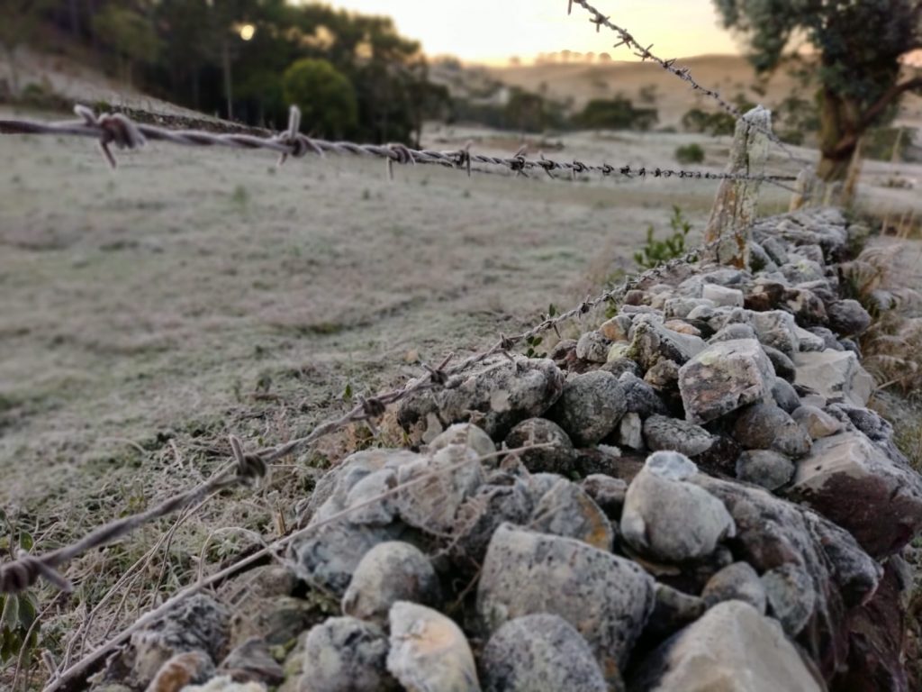 Dia mais frio do ano tem quase -7°C e geada até no Litoral