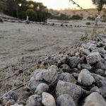 Dia mais frio do ano tem quase -7°C e geada até no Litoral