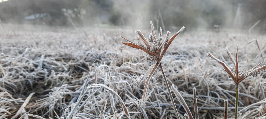 Sábado típico de inverno teve amanhecer gelado