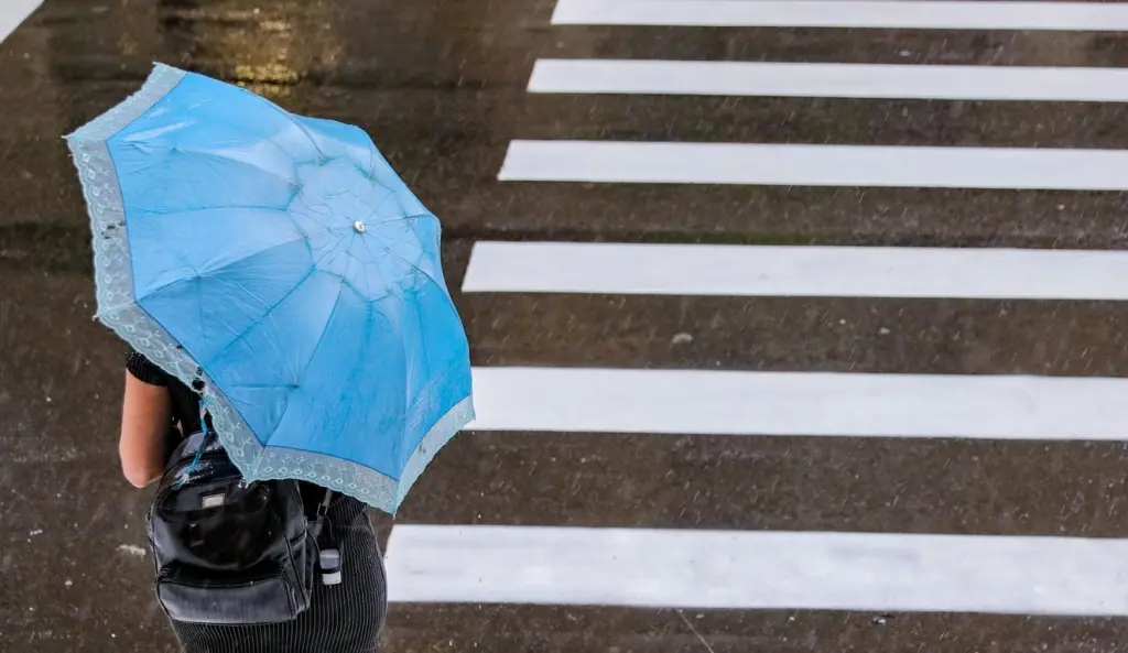 Previsão do tempo: Chuva volta para parte do Sudeste
