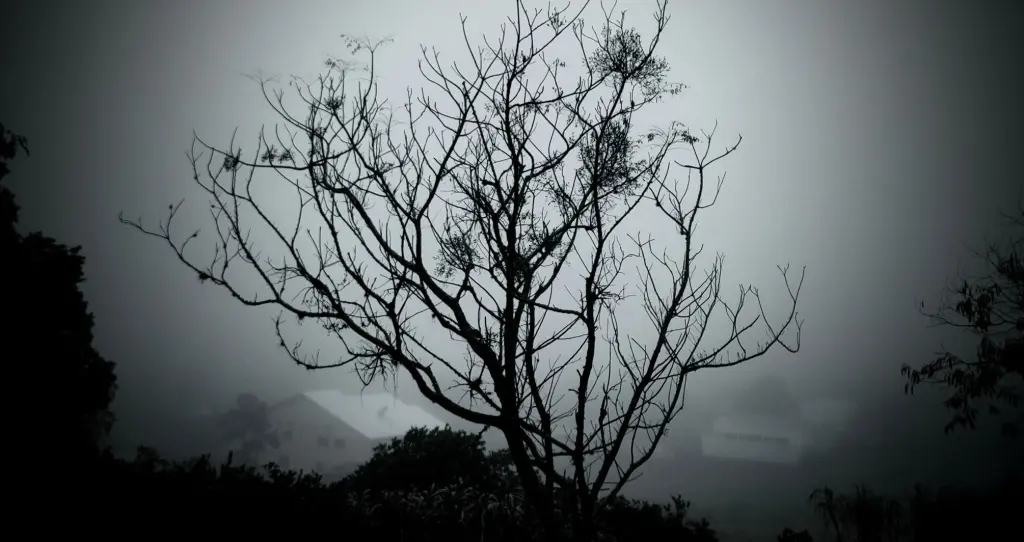 Quatro dias de inverno e quatro dias de chuva e alta umidade