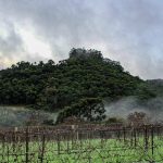 Frio marca o último domingo de junho