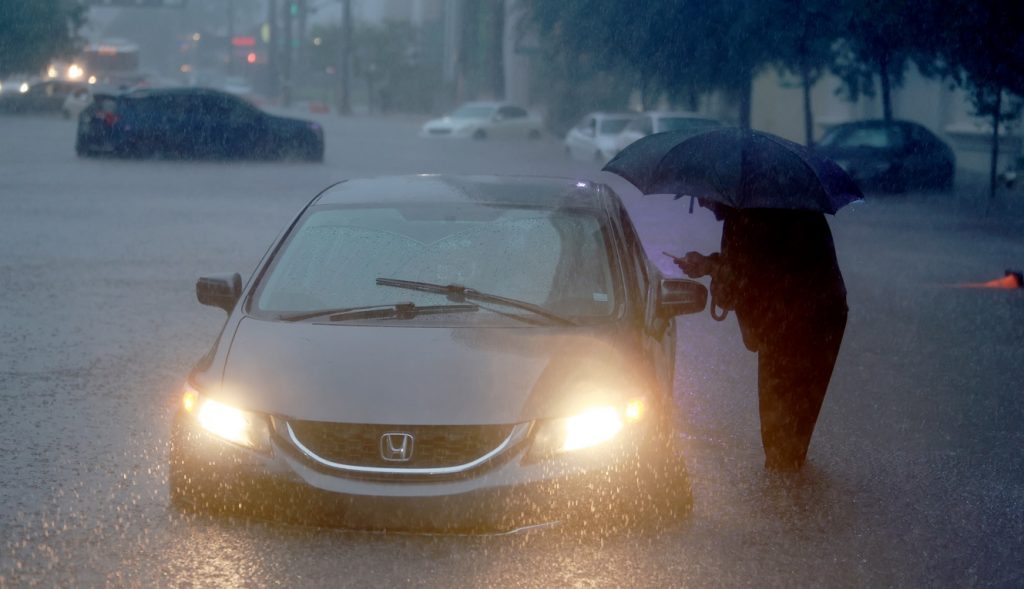 Peixes em prédios após chuva de 300 mm inundar Miami