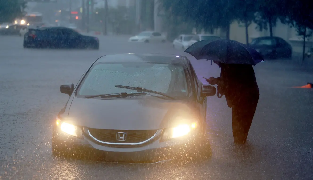 <span class="entry-title-primary">Peixes em prédios após chuva de 300 mm inundar Miami</span> <h2 class="entry-subtitle">Chuva de quase 300 mm atingiu entre ontem e hoje a área de Miami (EUA) com inundações, erosão costeira e peixes em garagens de prédios</h2>