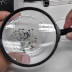 Ciência começa a desvendar impactos dos microplásticos no clima