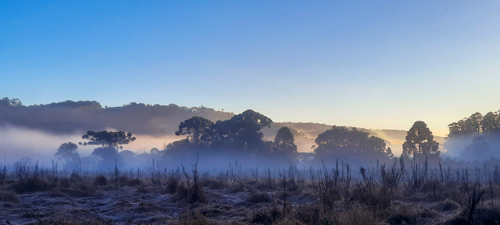 Sábado começa com geada e temperatura negativa