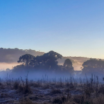 Sábado começa com geada e temperatura negativa
