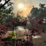 Fim de semana começa com sol e vai terminar com chuva
