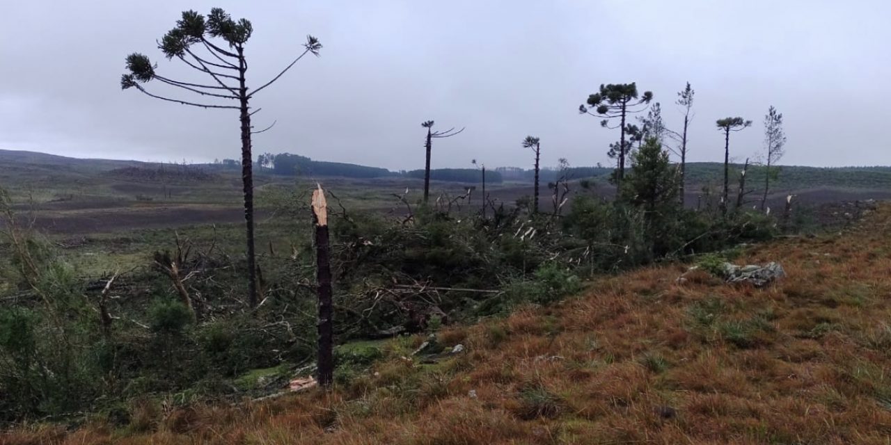 <span class="entry-title-primary">Possível tornado atingiu interior de São Francisco de Paula</span> <h2 class="entry-subtitle">Potentes áreas de instabilidade avançaram pela região na última noite com estragos por granizo e possível tornado em São Francisco de Paula</h2>