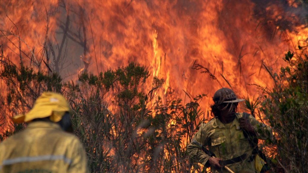 O mapa do fogo no Brasil no primeiro semestre