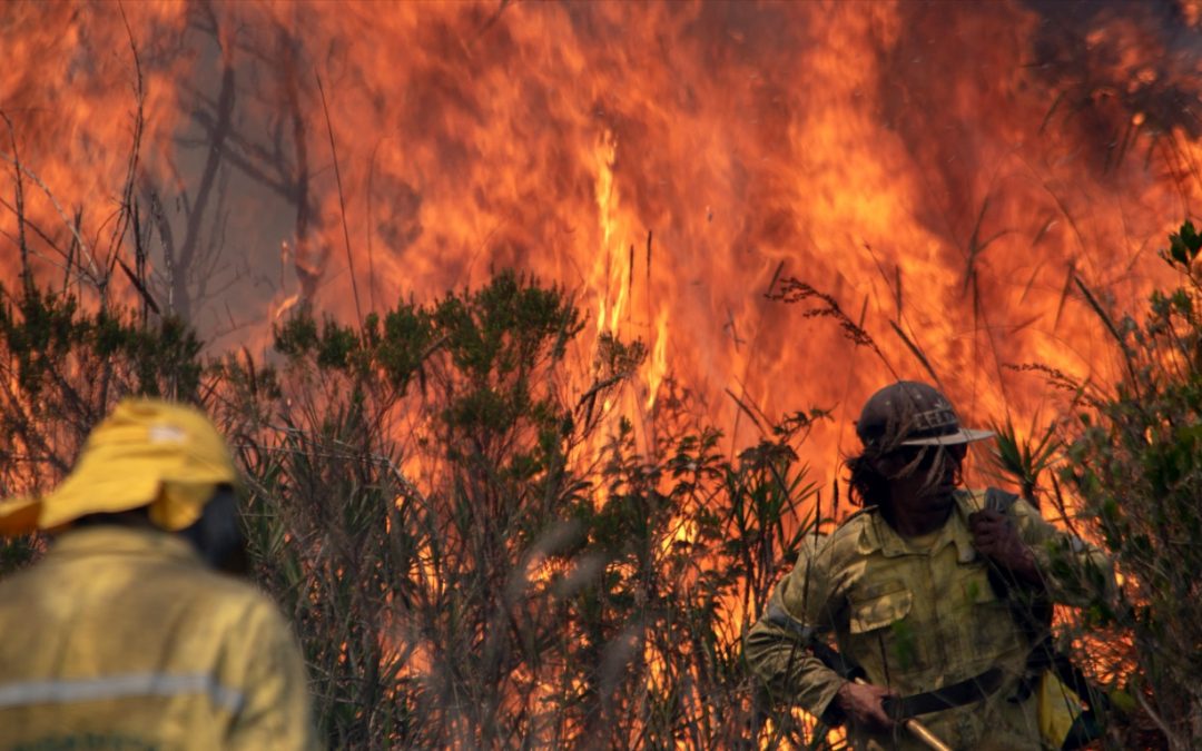 O mapa do fogo no Brasil no primeiro semestre Tempo seco e quente a partir de agora no Brasil Central trará os meses mais críticos de queimadas no território brasileiro