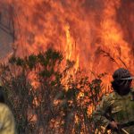 O mapa do fogo no Brasil no primeiro semestre