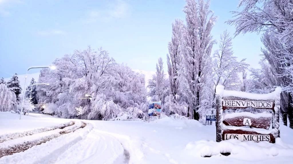 Argentina tem frio mais intenso do ano após grandes nevascas