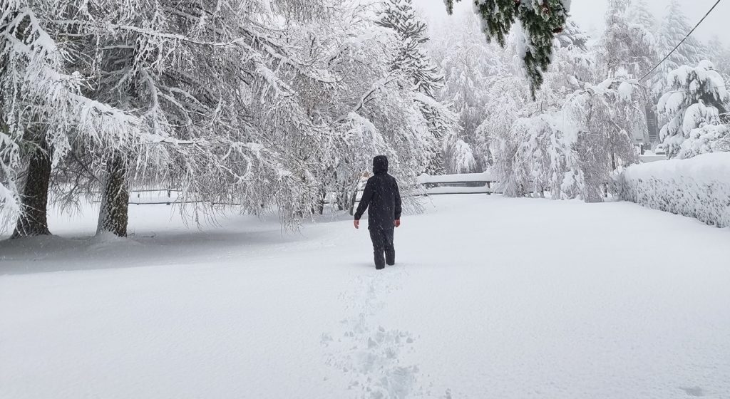Grande nevada atinge Bariloche e complica trânsito e voos