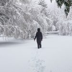 Grande nevada atinge Bariloche e complica trânsito e voos