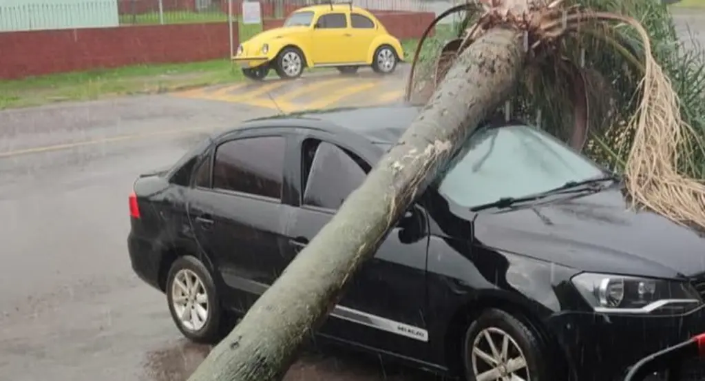 Vendavais acima de 100 km/h causam estragos antes do frio