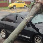 Vendavais acima de 100 km/h causam estragos antes do frio