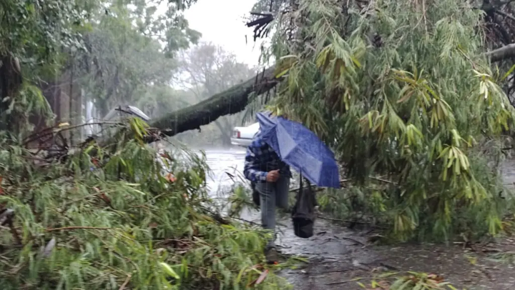 Chuva provoca transtornos em Porto Alegre