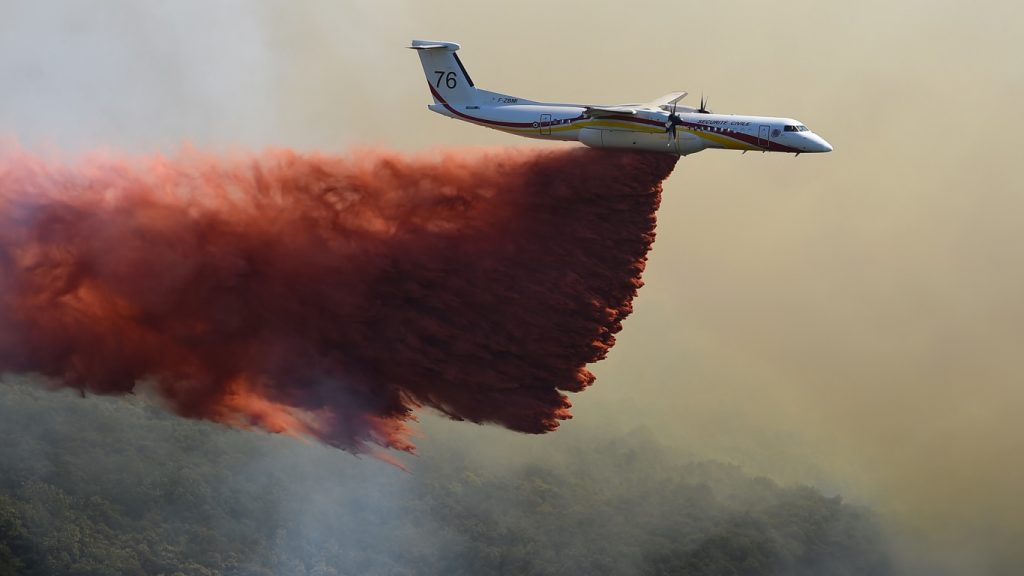 Confissão de autor de incêndio florestal choca a França
