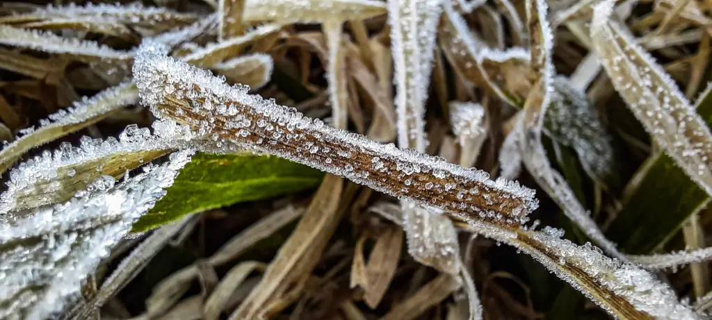 Julho começou com quase 6ºC abaixo de zero no Sul do Brasil