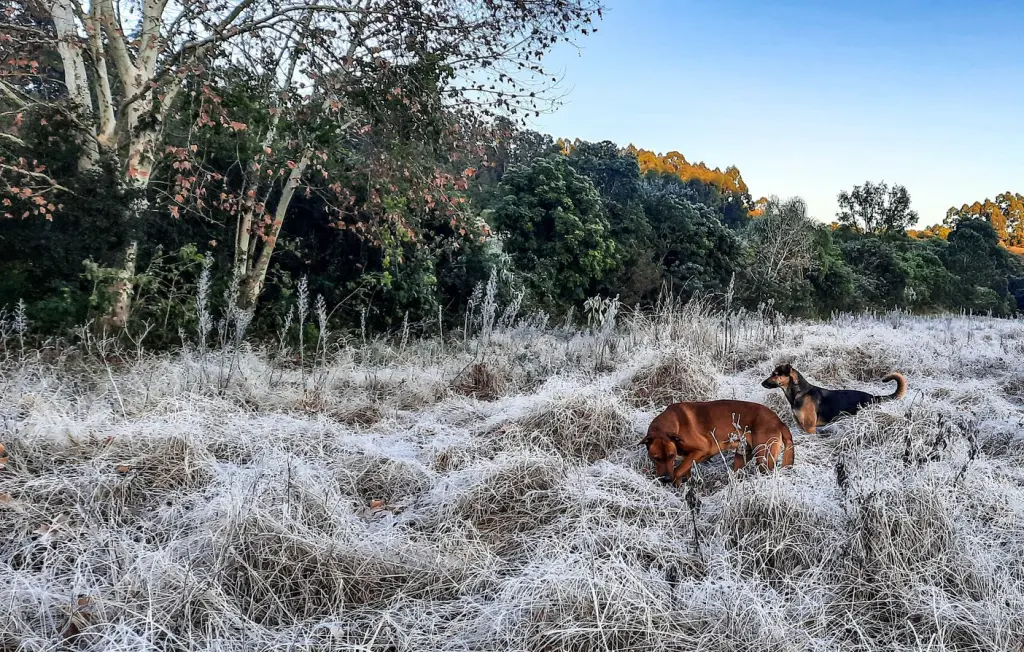 Frio intenso no começo da quarta após tombo da temperatura